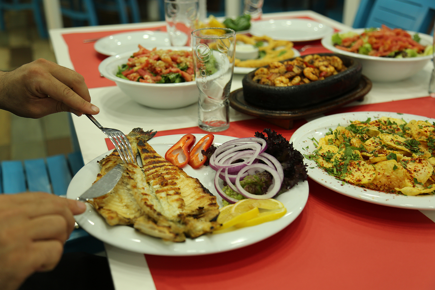 Adana’da Öğrenciler için Hızlı ve Lezzetli Balık: Balıkçı 1