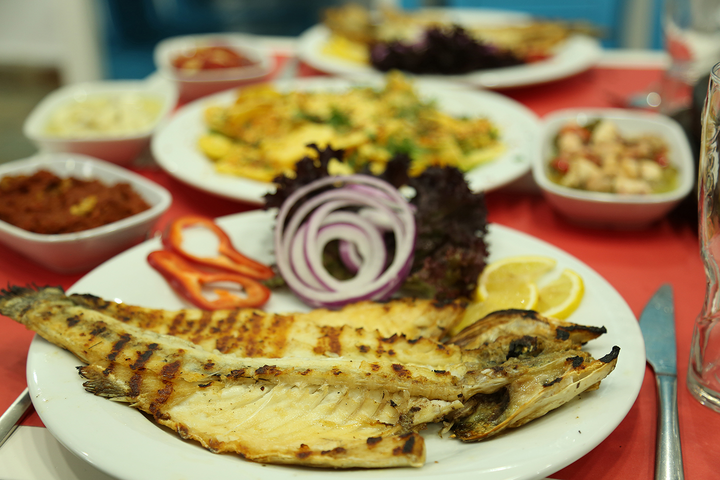 Balıkçı 1 ile Adana’da Unutulmaz Balık Deneyimi